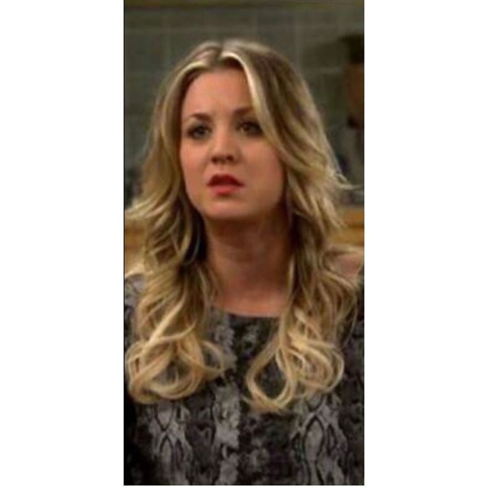 Joie Cienna Python Sweater As Seen On The Big Bang Theory sz L EUC PRISTINE